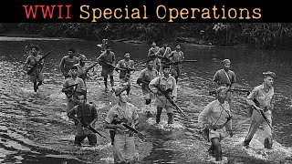 John Singlaub's SECRET OSS Missions Revealed