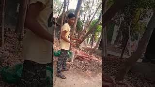 #pleasesubscribe #pakhi #vairal #shot #banglavlogvideo #bangali