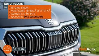 Parc auto Delcar DasWeltAuto