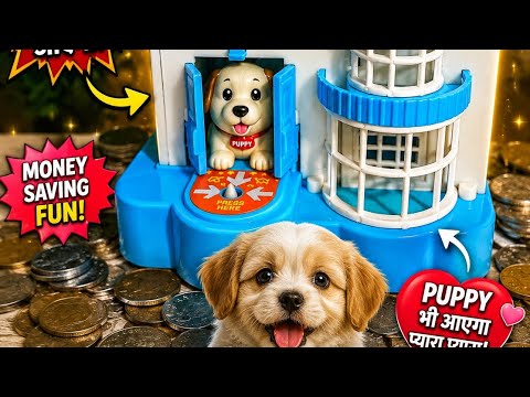 puppy house pappi Ne jeete 5000 😱😱