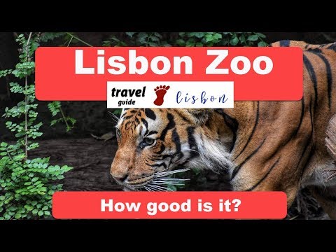 Lisbon Zoo - How good is it?