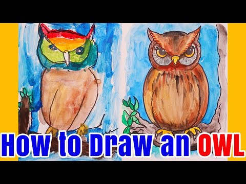 How to Draw An Owl - Watercolor Tutorial for Kids