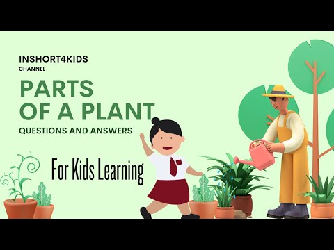 Fun Learning: Exploring the Parts of a Plant with Questions and Answers | Kids Educational Video