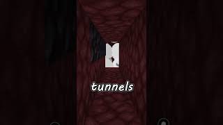 5 WAYS #minecraft #minecrafttutorial #shorttutorial #shorts #minecrafttipsandtricks