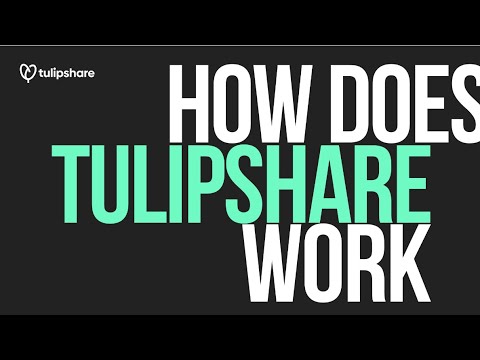 The Tulipshare team explains how it works