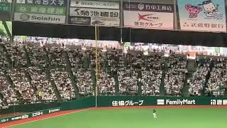 埼玉西武ライオンズ　汎用テーマB（平沼翔太）