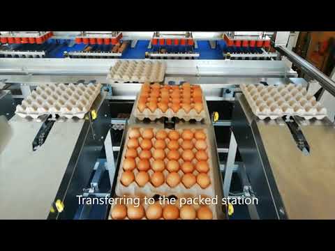 Fully Automated Egg grading & packing machine