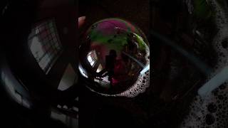 Soap Bubble Science Experiment 🫧🫧#shorts #scienceexperiment #easyscienceexperimentsforkids #viral