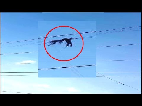 Dangerious Job execution in the sky by human | Risky JOBS in the world | #dangerjobs