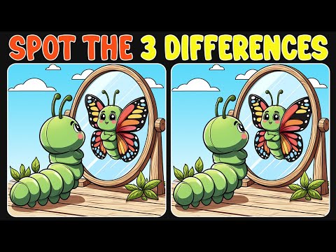 Spot The Difference : Can You Spot 3 Differences? | Find The Difference #10