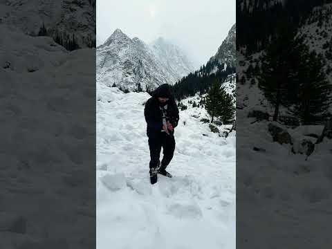 #beach #love #edm #viralvideo #myfirsttimeinmylifevlog #mountains #kalamsnowfall #cat #travel #music