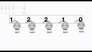 Rats and Anaesthesia Puzzle __ Google Interview Puzzle #interview #puzzle #google #faang #riya #dsa