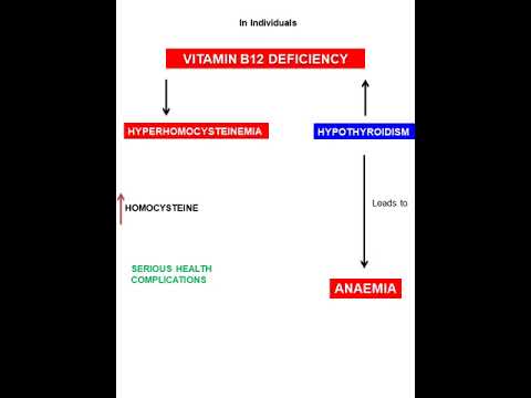 Vitamin B12 and Thyroid (2Jun23) #Shorts