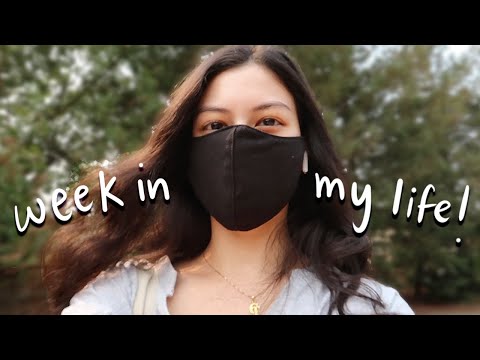 week in my life // ucd student during covid edition