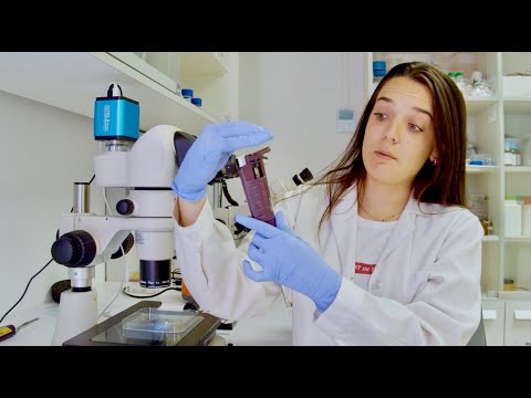 One Year After University - My Experience (Storytime)