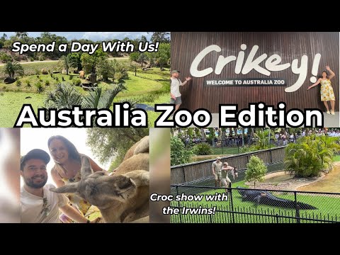 Brits visit Australia Zoo: A Day with Koalas, Crocs and the Irwin Family! | Moving to Australia Vlog