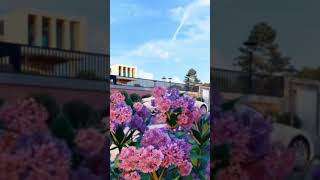 Architecture Animation #3dvisualization #architecturaldesign #architecturaldesign #architecture