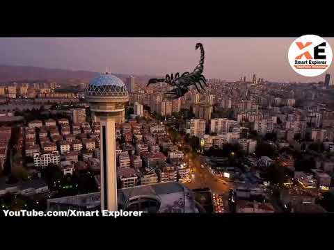 شرابی آدمی کی حفاظت بچھو کے ذریعے کرتا ہے
