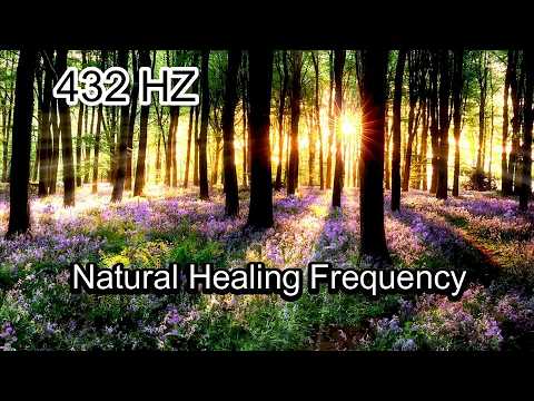 Stressed? Listen to This and Let Go