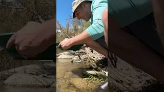How dangerous is Australia? #goldrush #golddigger #goldprospecting #goldpanning #outdooradventures
