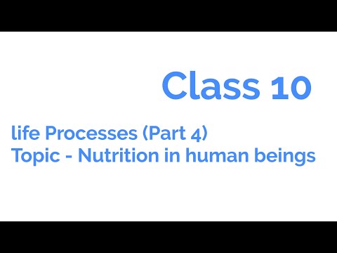 LIFE PROCESSES:Part 4 (For NTSE, Olympiad, KVPY And Class 10 Board Exams)