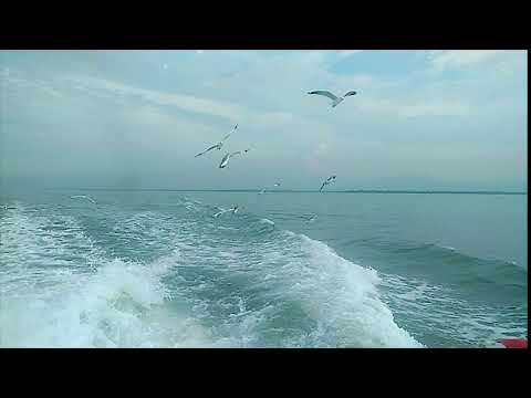 আবার যেদিন তুমি সমুদ্রে ঝিনুক কোরাতে যাবেআমাকে সঙ্গে নেবে, নেবে তো আমায়?