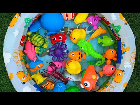 Learn Sea Animal Names and Facts with Fun Toys | Sea Name Learning for Toddlers & Preschoolers