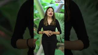 Dhatura Khane se Kya Hota hai #mahashivratri2023 #healthtips #health