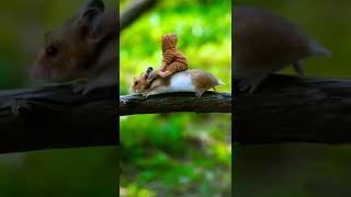 cute baby status|| nature status|| beautiful cute WhatsApp status| #nature  #cutestatus