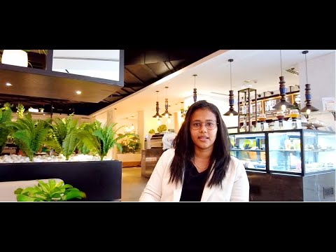 Google Search Engine Ranking - SEO Services Agency, Dubai, UAE - Volga Tigris