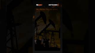 World Market News of the 3 September with FXOpen #gbpusd #usd #crudeoil #brent #wti #currencytrading