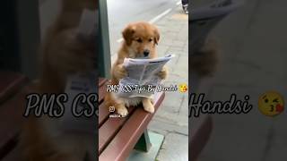 Cute| CSS PMS Tips by Handsi ❤️#shortsfeed #shortsvideo #css #studytips #students