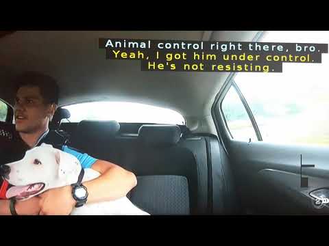 New Zealand Police Interrogate a Dog