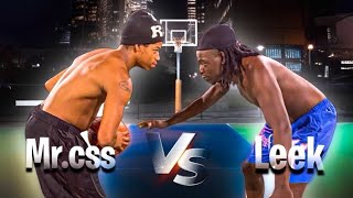 Mr.CSS VS LEEK
