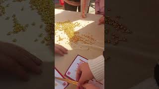 Spring trials of Wealth god. Interactive for kids #kidsinteractive #chineseculture #springvibes
