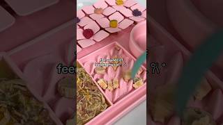 Cat food asmr sounds #catasmr #asmrsounds #catfeeding #asmr #feedmycats