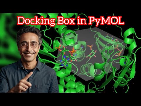 How to define a docking box using PyMOL