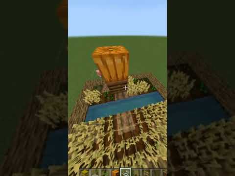 Minecraft build hack #shorts