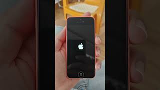 iphone 5c in 2024