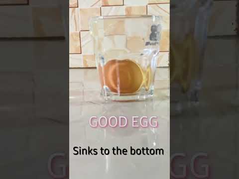 How to Know if Your Egg is Bad Using Water