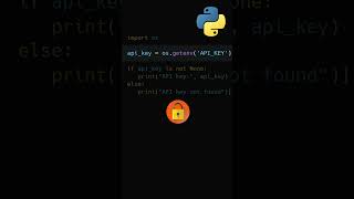 How to access Environment variables in Python
