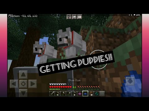 |Minecraft survival series bedrock|| Getting puppies ||episode 4|
