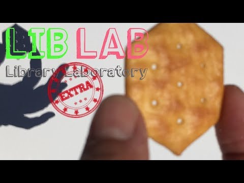 Eclipse: LIB LAB Man on the Street
