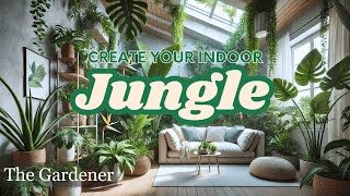 Build Your Indoor Jungle Top 10 Tropical Plants for Your Home