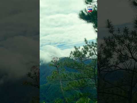 #philippines #nature #discoverph #traveldestinations #mountains #baguiocity