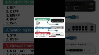 Network Protocols!!!✨✨