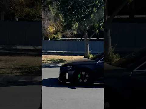 LOUD RS3 FLYBY Sound !!🔥🔥 #audi #rs3 #audirs3sedan #shorts #cars #sportscar #subscribe #fast