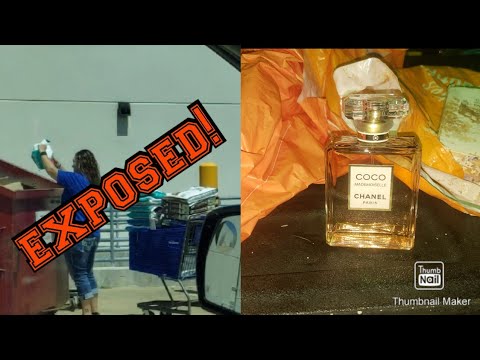 DUMPSTER DIVING, AND EXPOSING CORPORATE STORES