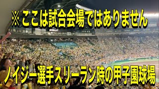 2023.11.5 【日本一決勝打】ノイジー選手先制スリーラン時の甲子園球場