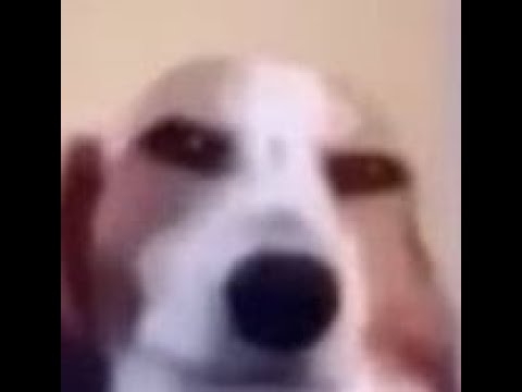 6 digit pog stream